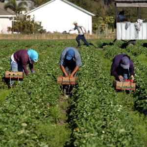 Reforma migratoria en EEUU