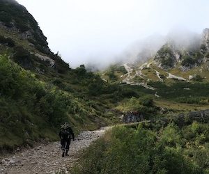 El camino menos transitado